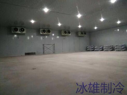 冷庫設(shè)備如何重要，改如何正確的維修呢？